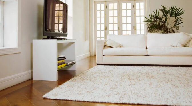 Carpet <span>Cleaning</span>
